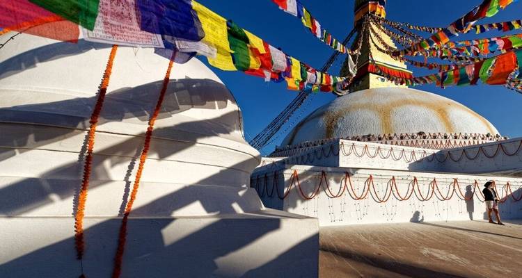 Experiencias exclusivas acechando tigres y templos - DIAMIR Erlebnisreisen 10