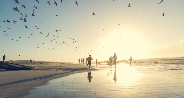 Children playing at the beach with birds flying against a bright sunset.
