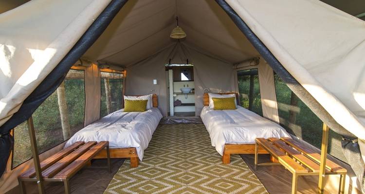 Interior of a tent with two single beds.
