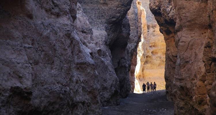 From the Cape to Windhoek - DIAMIR Erlebnisreisen 8