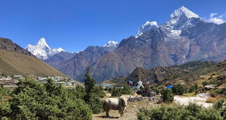 El mito del Everest - Trekking al Campo Base - DIAMIR Erlebnisreisen 6
