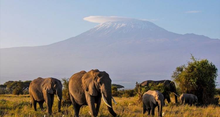 Del Masai Mara al Océano Índico - DIAMIR Erlebnisreisen 9