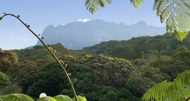 La isla de la gente del bosque - DIAMIR Erlebnisreisen 8