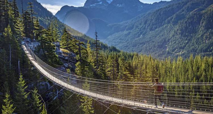 Pont suspendu dans une forêt avec une personne qui traverse.