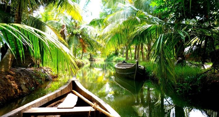 Des backwaters sereines avec des bateaux et des palmiers par une journée ensoleillée.