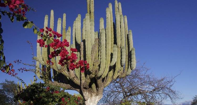 Ciudades coloniales y culturas perdidas - DIAMIR Erlebnisreisen 7