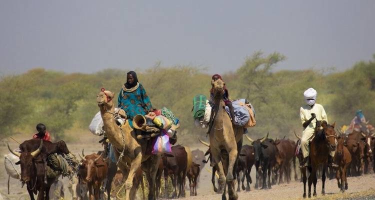 To the Guerewool Festival of the Wodaabe - DIAMIR Erlebnisreisen 1