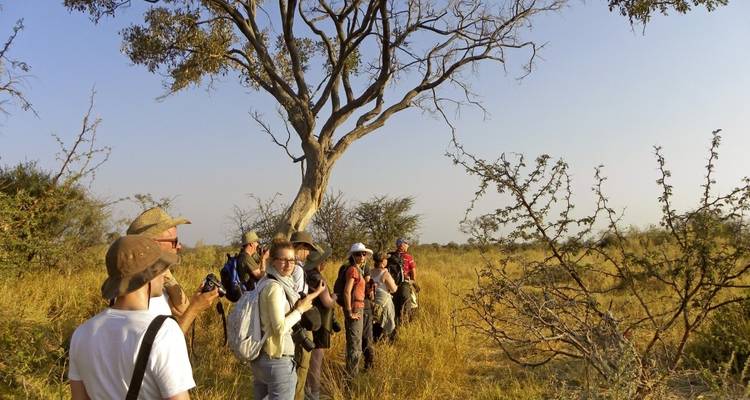 Grupo de excursionistas caminando a través de un paisaje de sabana.
