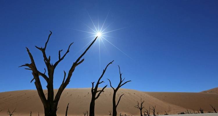 Desierto, pinturas rupestres y cataratas Victoria (including Montaña Brandberg) - DIAMIR Erlebnisreisen 1