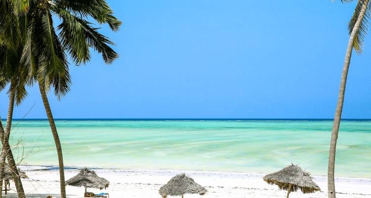Tropischer Strand mit Palmen und türkisfarbenem Wasser.