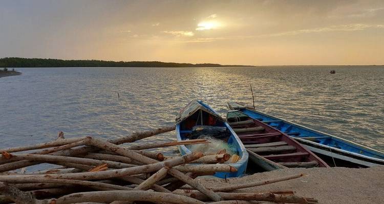 Mandinka, mangrove et mer - DIAMIR Erlebnisreisen 5