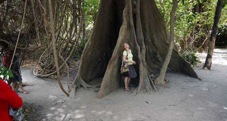 Mandinka, mangrove et mer - DIAMIR Erlebnisreisen 3