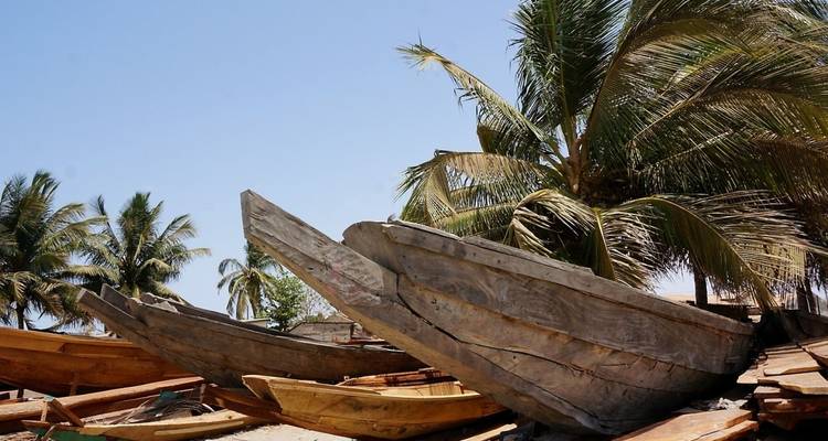 Mandinka, mangrove et mer - DIAMIR Erlebnisreisen 6