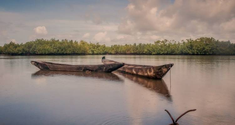 Dos canoas de madera en un río tranquilo con árboles de manglar en el fondo.