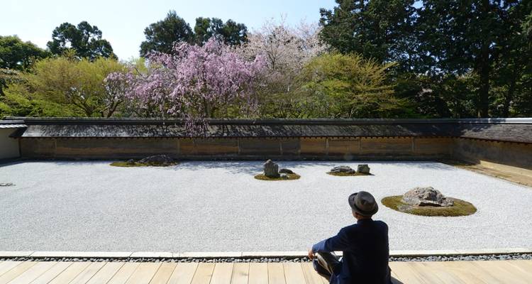 A man sitting in front of a Zen garden with cherry blossoms in bloom.