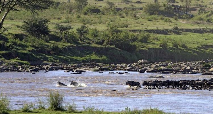 Tras la pista de la gran migración animal (8 destinations) - DIAMIR Erlebnisreisen 9