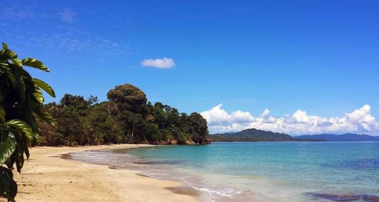Entre deux côtes : Caraïbes, forêt nuageuse et aras rouge clair - DIAMIR Erlebnisreisen 1