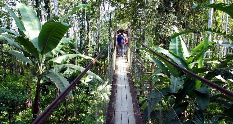 Entre deux côtes : Caraïbes, forêt nuageuse et aras rouge clair - DIAMIR Erlebnisreisen 9