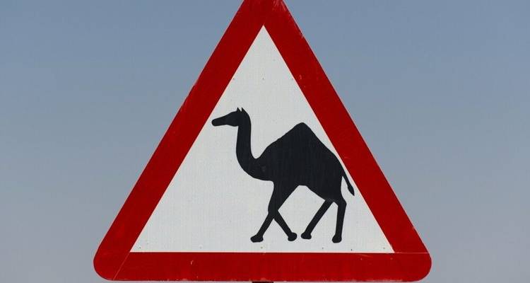 Castles, Mountain Villages and Bedouins - DIAMIR Erlebnisreisen 1