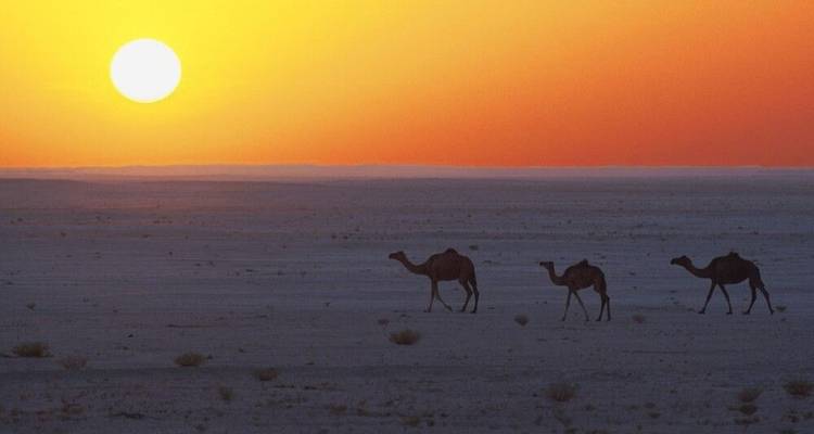 Castles, Mountain Villages and Bedouins - DIAMIR Erlebnisreisen 4