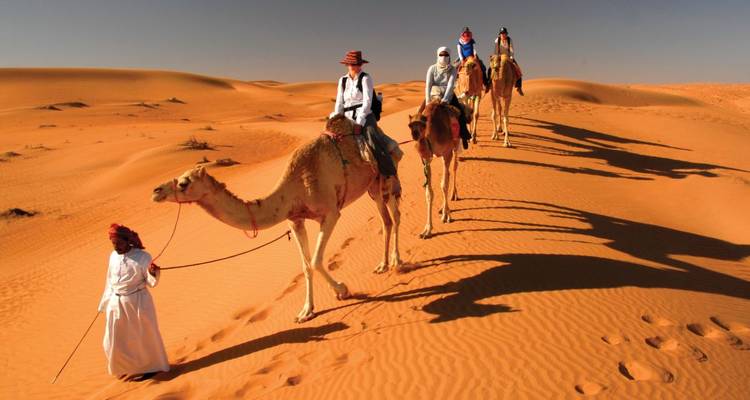 Group of camels being led by a guide across a desert landscape.