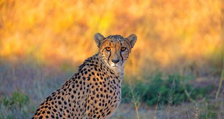 Namibia activa - DIAMIR Erlebnisreisen 1