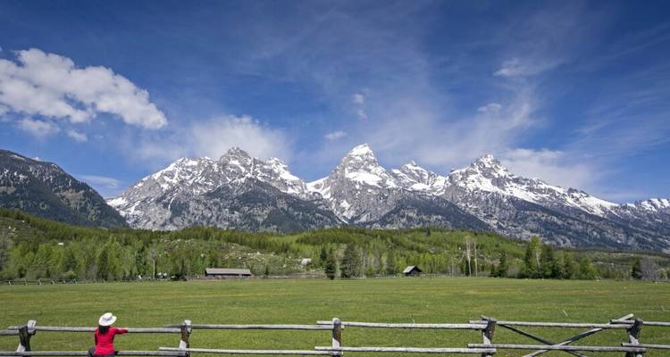 Les bisons, les cow-boys et les couleurs de Yellowstone - DIAMIR Erlebnisreisen 9