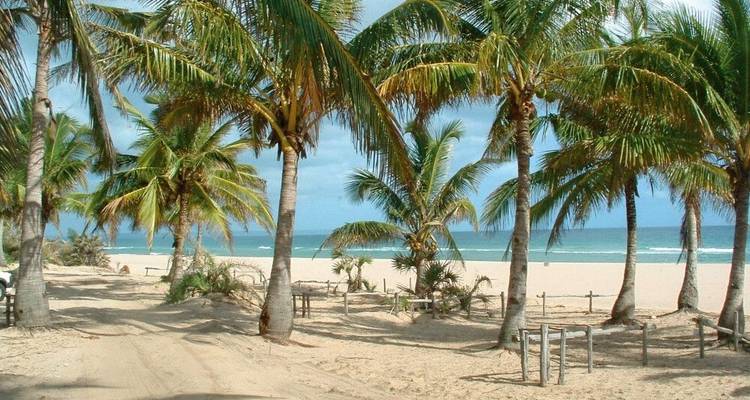 Playas tropicales y sabana africana - DIAMIR Erlebnisreisen 1