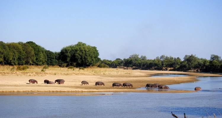 A lo largo de la ruta comercial (from Livingstone to Lilongwe) - DIAMIR Erlebnisreisen 5