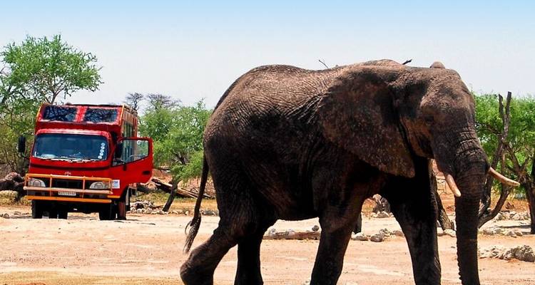 A lo largo de la ruta comercial (from Livingstone to Lilongwe) - DIAMIR Erlebnisreisen 8