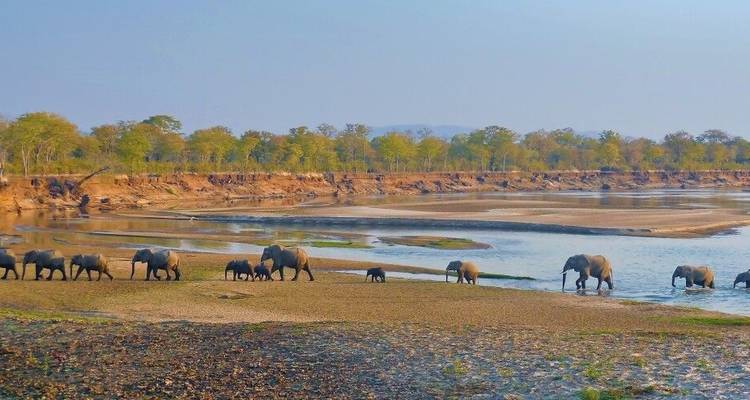 A lo largo de la ruta comercial (from Livingstone to Lilongwe) - DIAMIR Erlebnisreisen 9