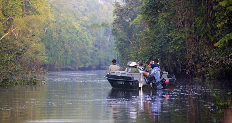 Groupe de personnes sur un bateau traversant une rivière à travers une jungle.
