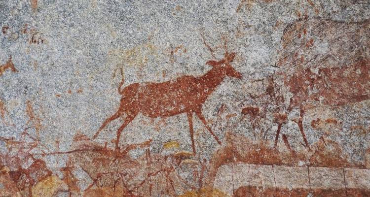 Great Zimbabwe ruins and Safari paradises - DIAMIR Erlebnisreisen 5