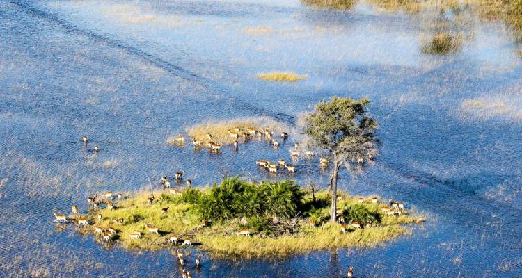 Aerial view of an island with wildlife in a flooded plain.