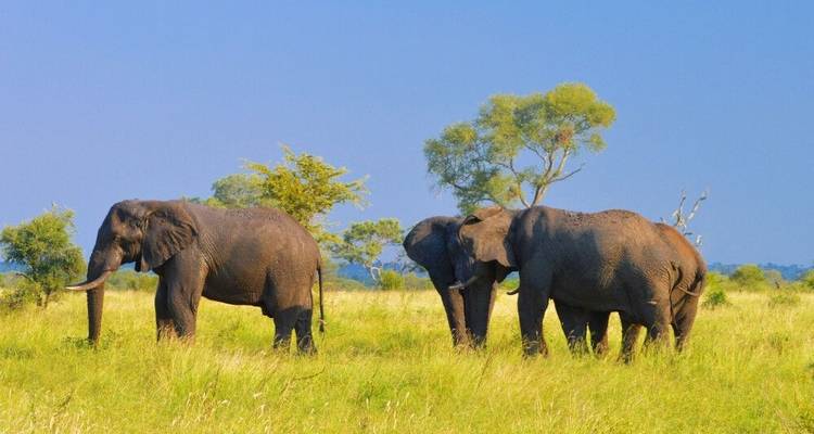 Del Drakensberg al Parque Nacional Kruger - DIAMIR Erlebnisreisen 2