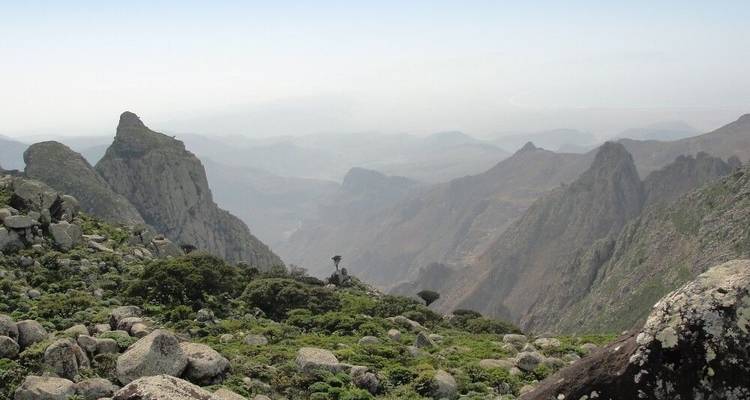 Socotra - Las Galápagos del Océano Índico - DIAMIR Erlebnisreisen 5