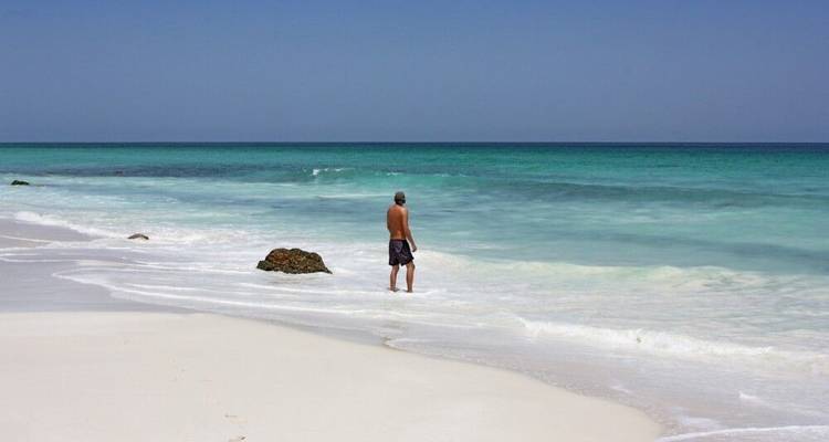 Socotra - Las Galápagos del Océano Índico - DIAMIR Erlebnisreisen 1