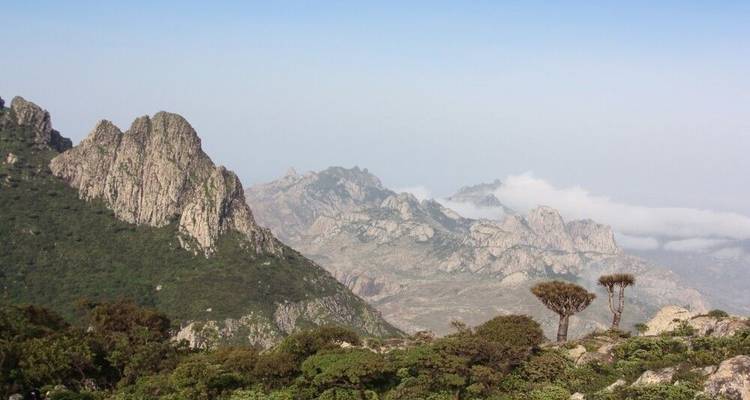 Socotra - Las Galápagos del Océano Índico - DIAMIR Erlebnisreisen 2