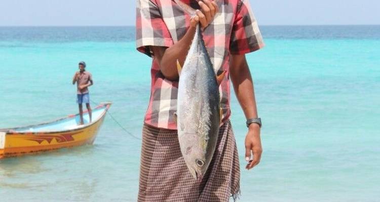 Socotra - Las Galápagos del Océano Índico - DIAMIR Erlebnisreisen 3