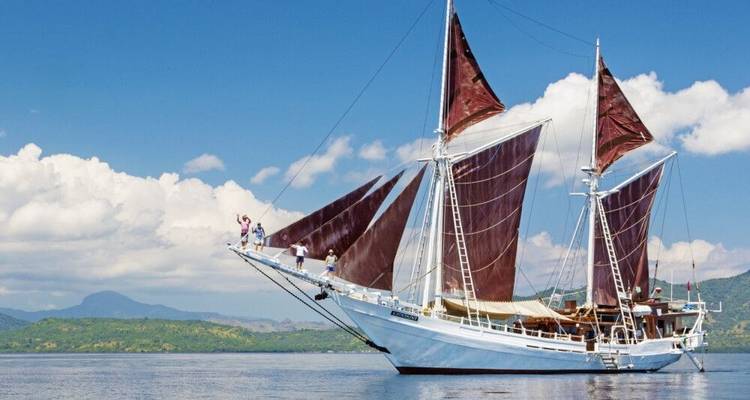 Cruise to Komodo Via Wallace Line - DIAMIR Erlebnisreisen 3