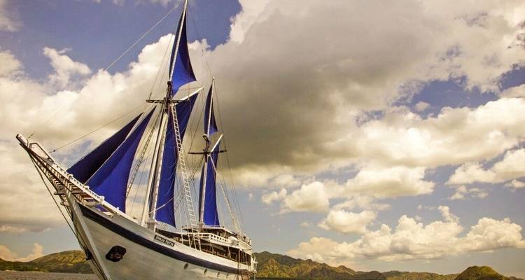 Cruise to Komodo Via Wallace Line - DIAMIR Erlebnisreisen 4