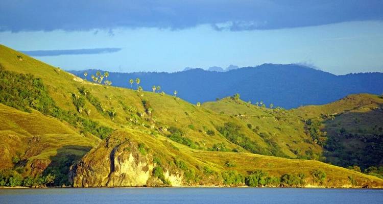 Cruise to Komodo Via Wallace Line - DIAMIR Erlebnisreisen 8