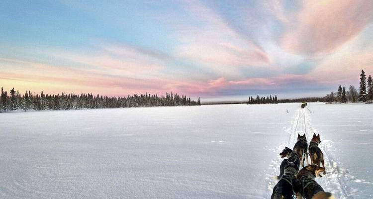 Husky Winter Dream: Sporty - DIAMIR Erlebnisreisen 6