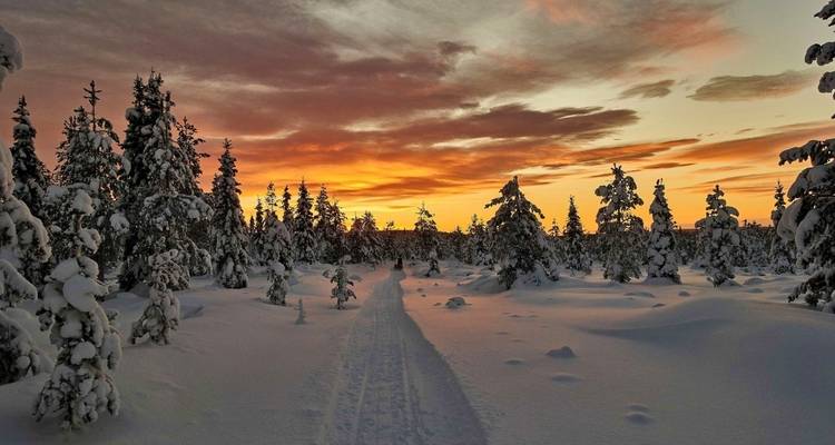 Sentier forestier enneigé au coucher du soleil avec un ciel vibrant.