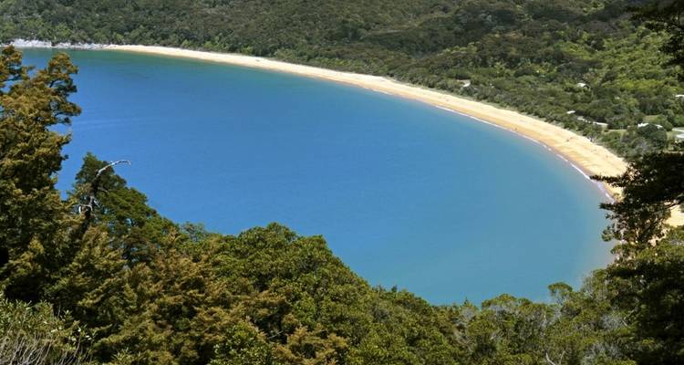 Aerial view of a beach with surrounding forests.