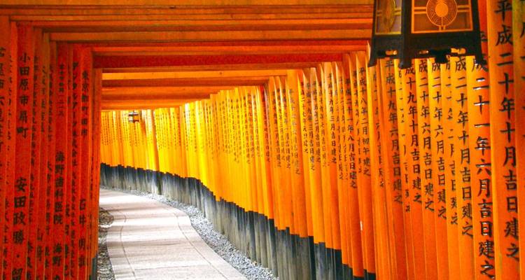 Weg durch eine Reihe von Torii-Toren mit Inschriften.
