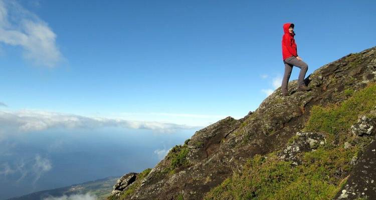 Hiking, Wine and Whales - DIAMIR Erlebnisreisen 2