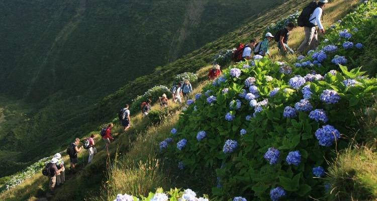 Hiking, Wine and Whales - DIAMIR Erlebnisreisen 6
