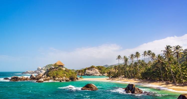 Playa tropical con palmeras y agua azul cristalina.