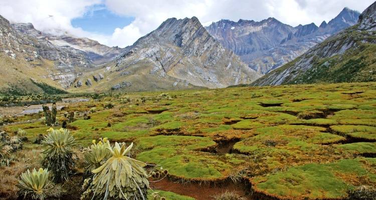 Paisaje montañoso con formaciones de hierba únicas.